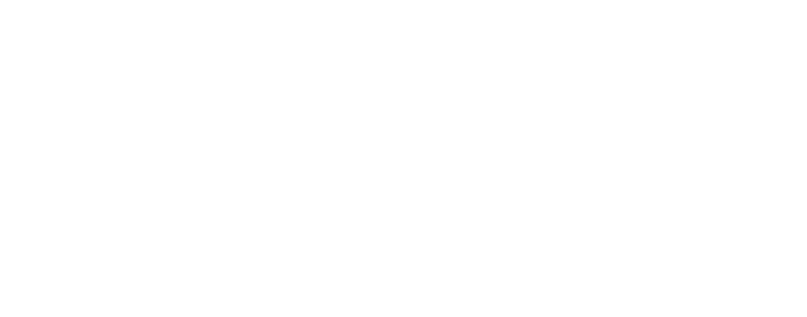 Auto Haus Racing