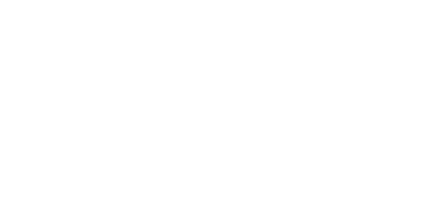 100 gingle