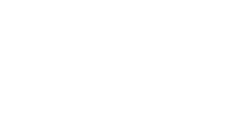 McLaren-International