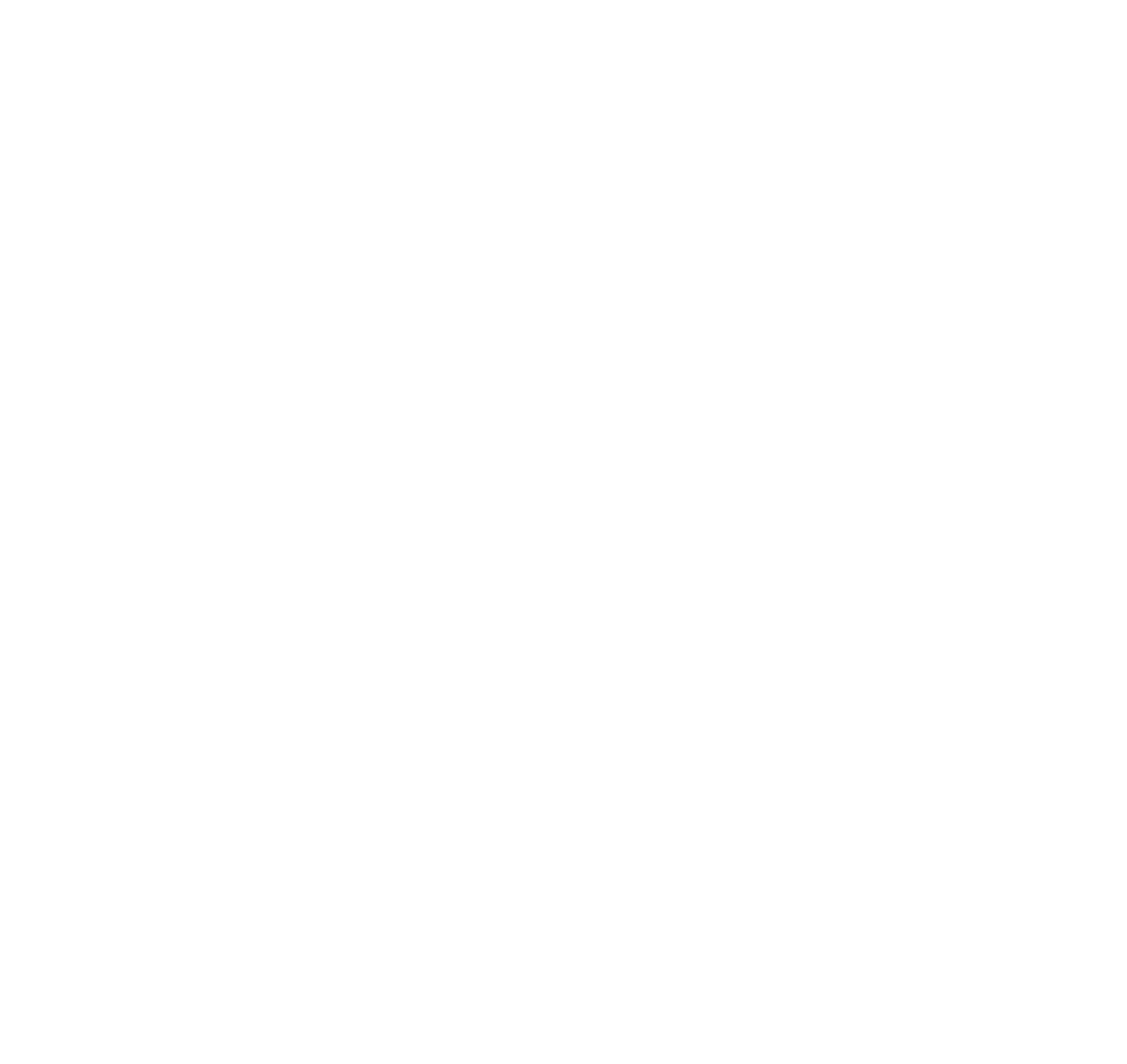 bullterrier tricks