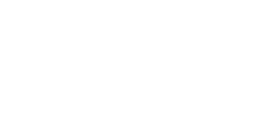 spl-dynamics