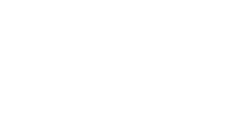Evolution 01