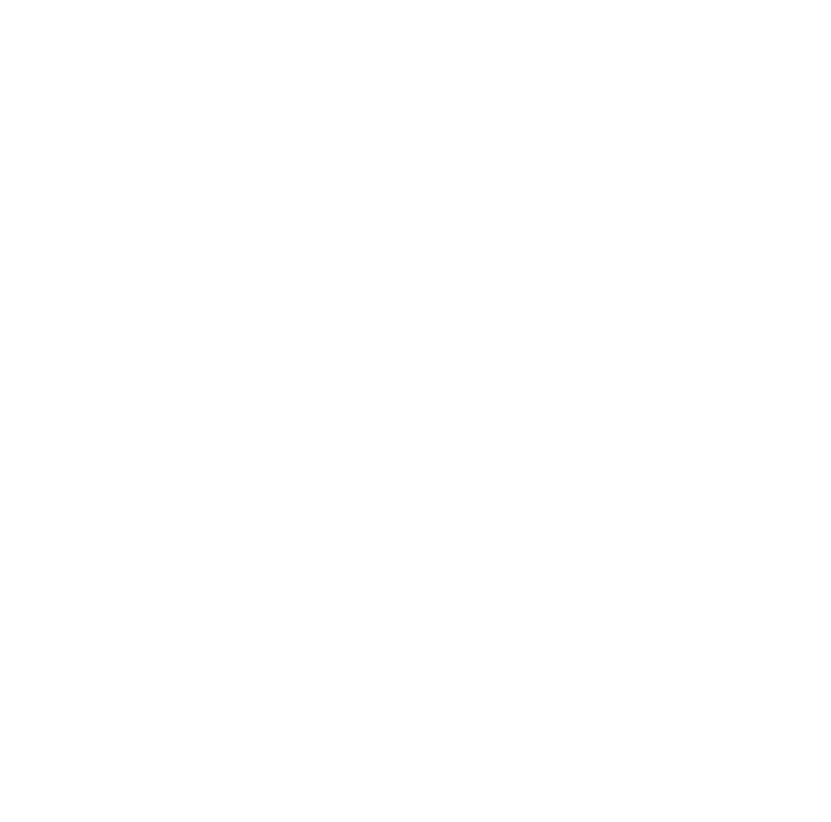 VW skull