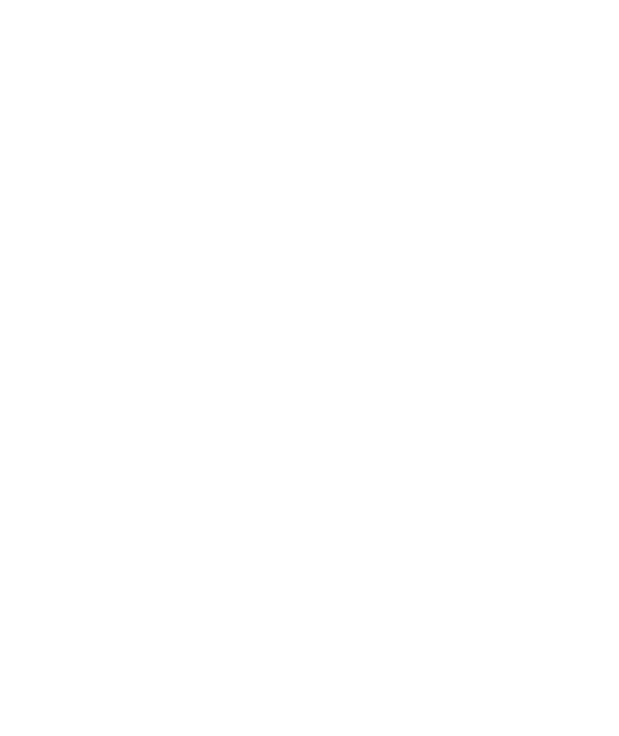 skoda logo