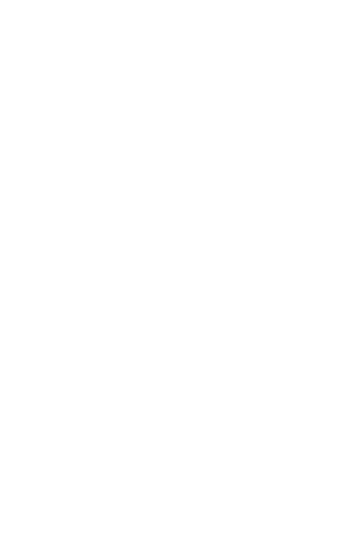 Dragon 06