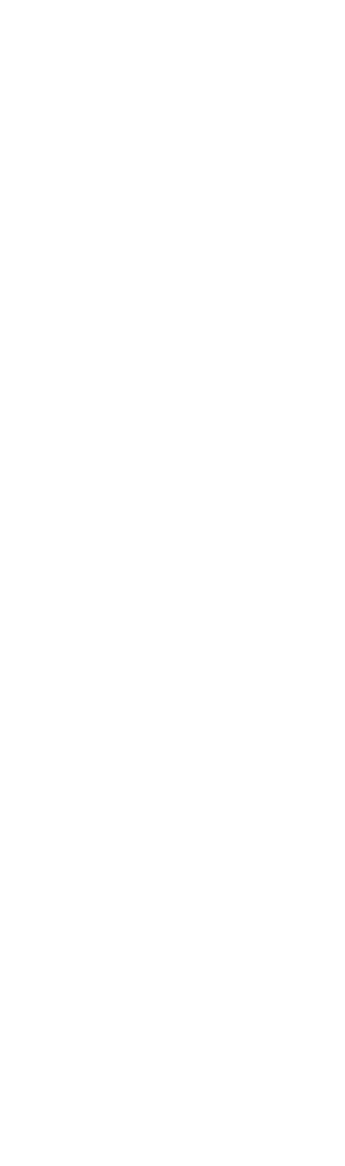 Dragon 16