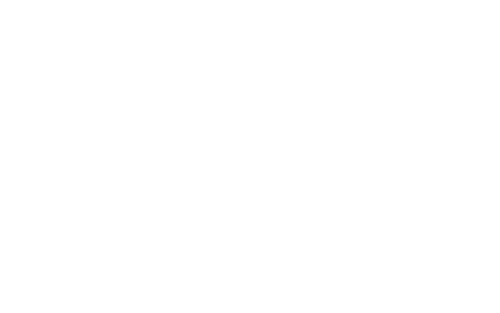 Kôň 03