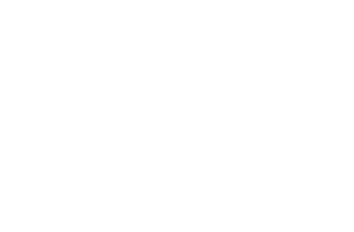 Kôň 05