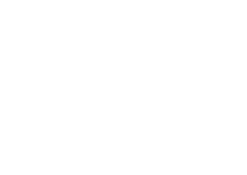 Kôň 06