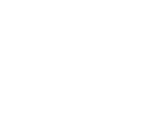 Kôň 07