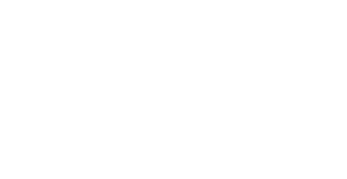 Motýl 24