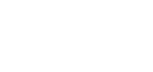 Motýl 25