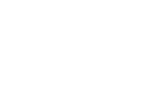 Motýl 26