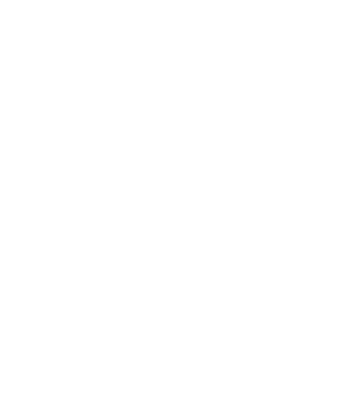 Motýl 30