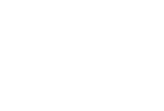 Motýl 62