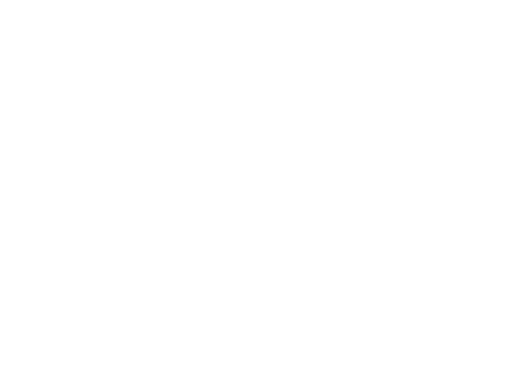 Motýl 89