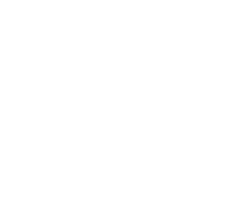 Pavúk 10