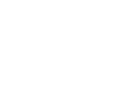 Mačka 8