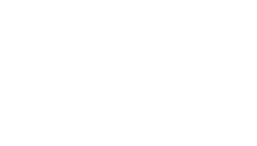 Vták 13