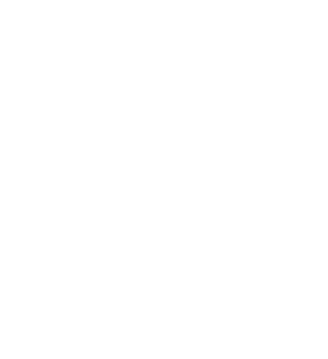 phone 8