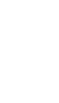 phone 12