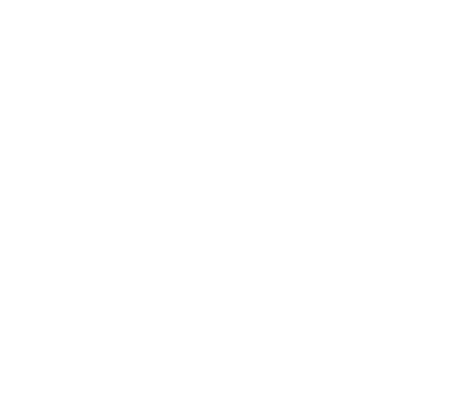 bull 3