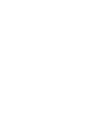 Etnies 4