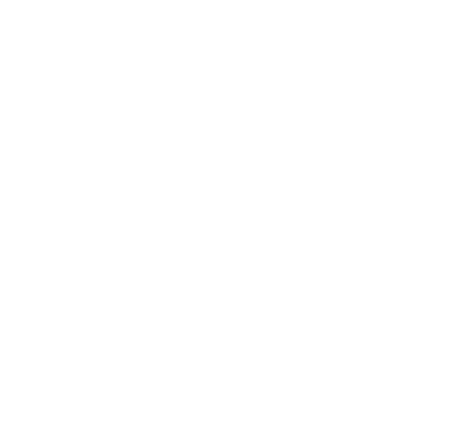 new holland