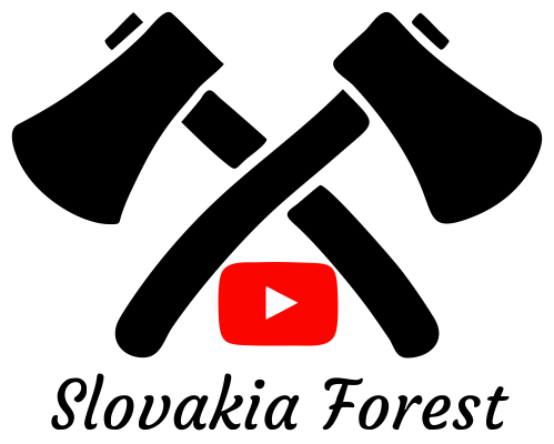 Slovakia Forest b01