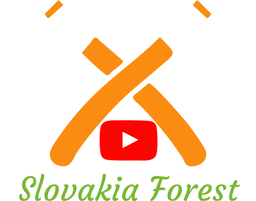 Slovakia Forest c02